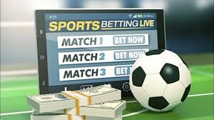 Discover the World of Betting with betbedt 1 Discover the World of Betting with betbedt 1